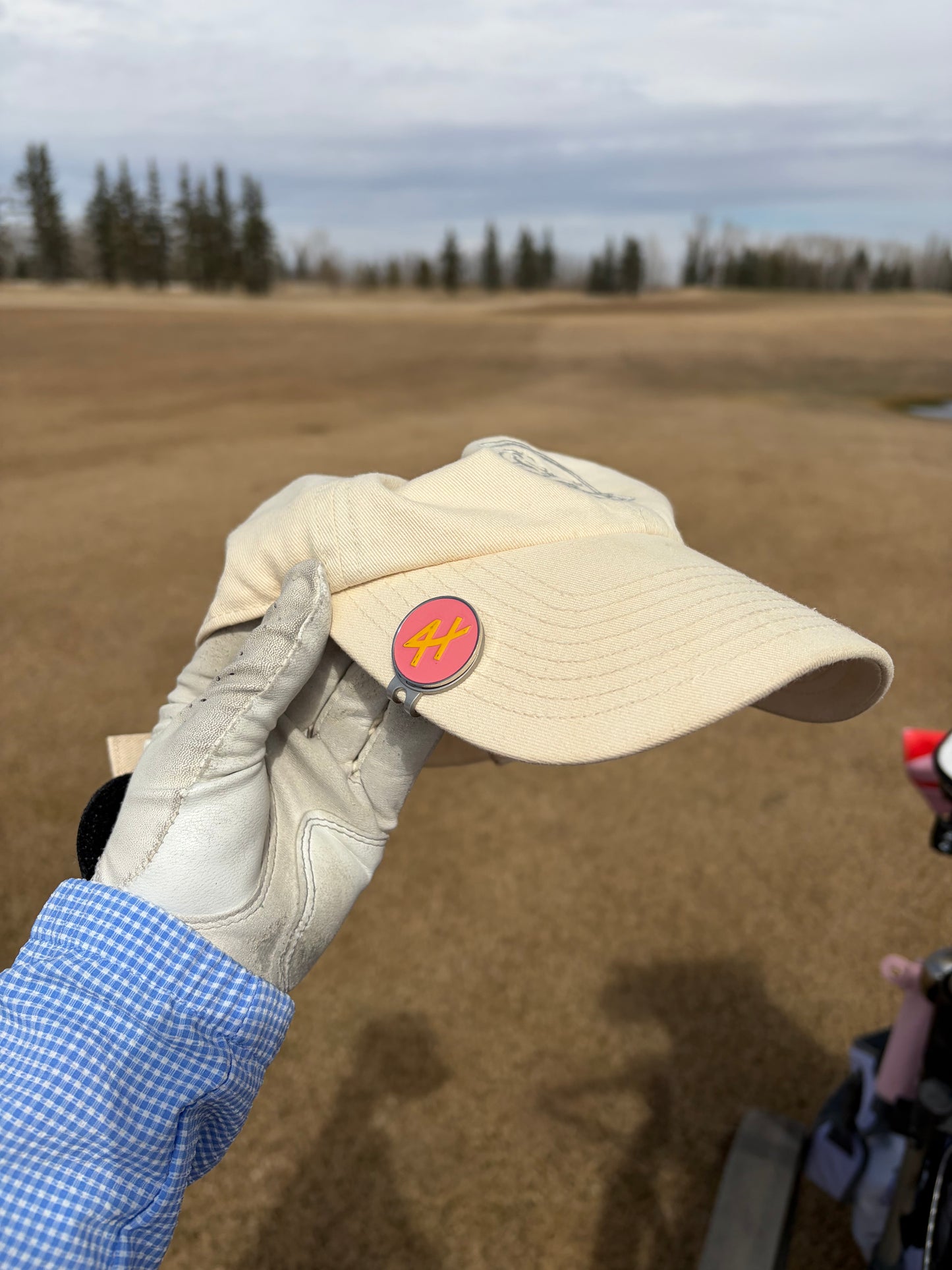 Ball Marker + Clip BUNDLE